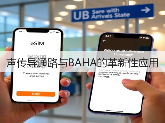 声传导通路与BAHA的革新性应用(图3) 声传导通路与BAHA的革新性应用(图3)