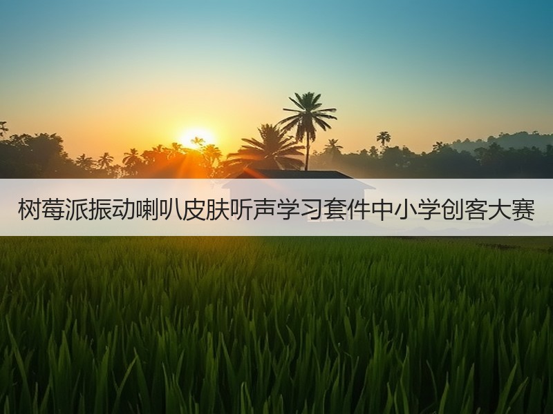 树莓派振动喇叭皮肤听声学习套件中小学创客大赛