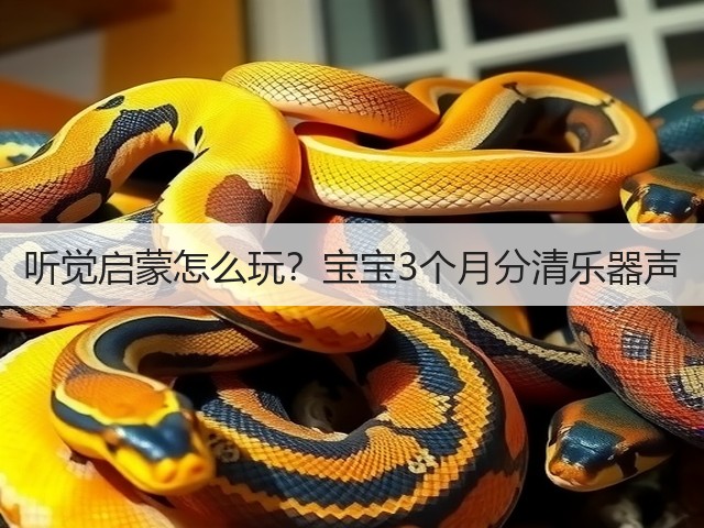 听觉启蒙怎么玩？宝宝3个月分清乐器声(图3)