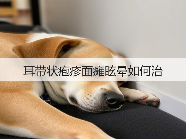 耳带状疱疹面瘫眩晕如何治(图1)