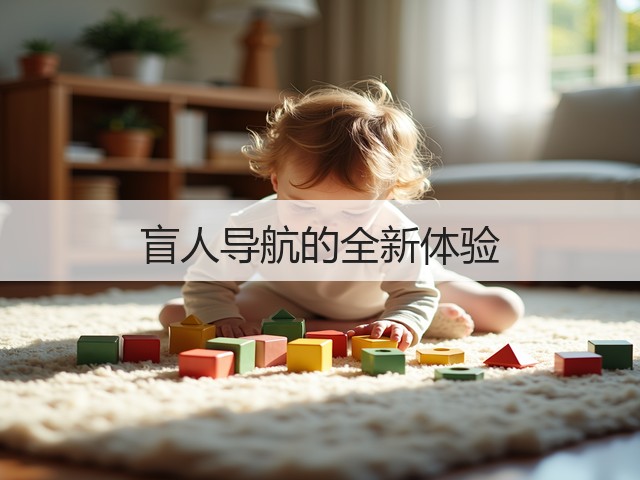 盲人导航的全新体验(图2)