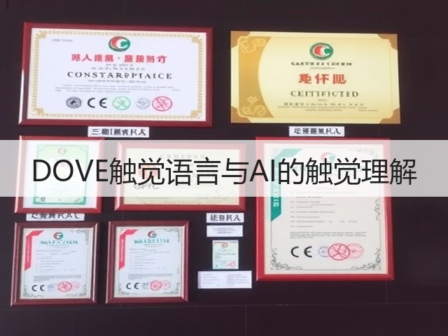 DOVE触觉语言与AI的触觉理解(图3)