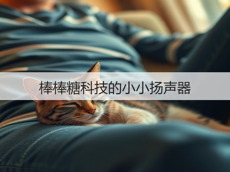 棒棒糖科技的小小扬声器
