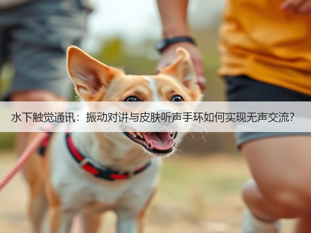 水下触觉通讯:振动对讲与皮肤听声手环如何实现无声交流?(图3) 水下触觉通讯:振动对讲与皮肤听声手环如何实现无声交流?(图3)