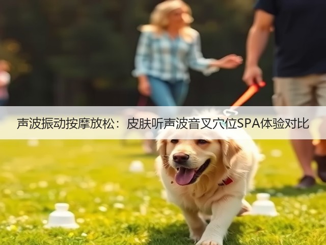 声波振动按摩放松:皮肤听声波音叉穴位SPA体验对比(图2) 声波振动按摩放松:皮肤听声波音叉穴位SPA体验对比(图2)