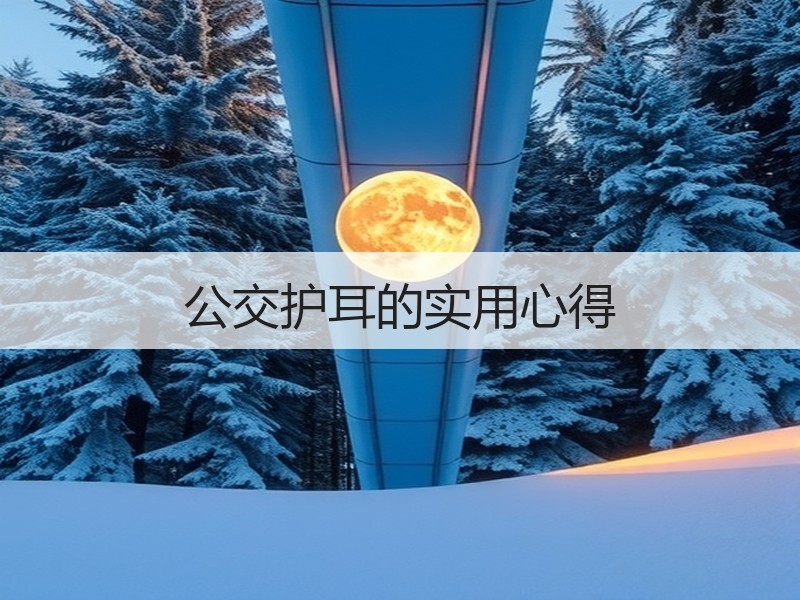 公交护耳的实用心得