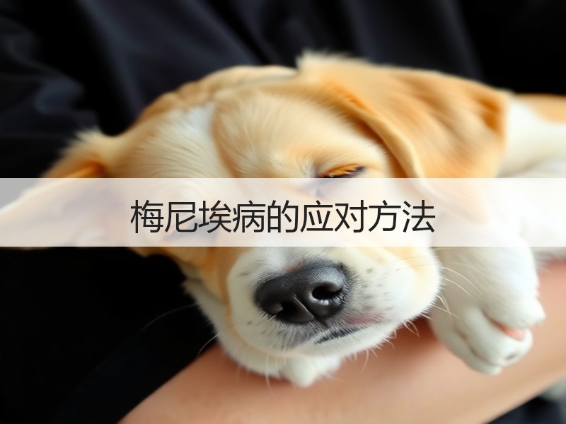 梅尼埃病的应对方法