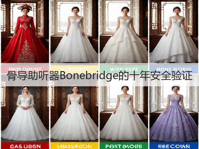 骨导助听器Bonebridge的十年安全验证(图3)