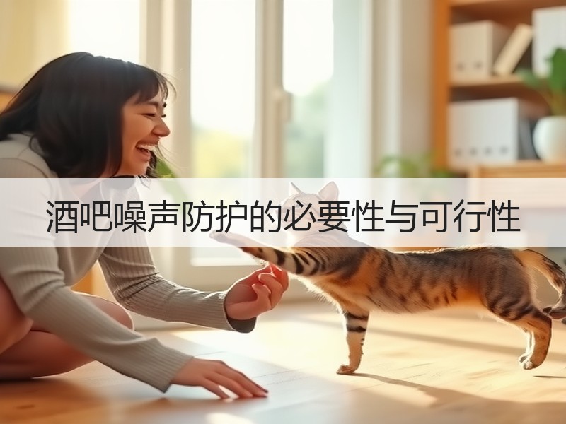 酒吧噪声防护的必要性与可行性