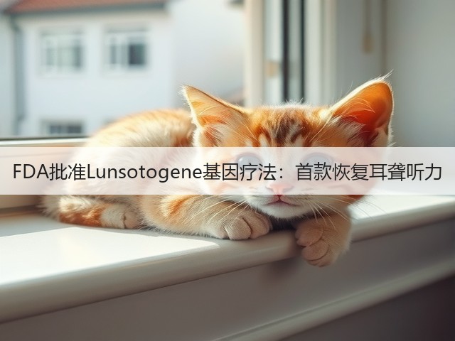 FDA批准Lunsotogene基因疗法:首款恢复耳聋听力(图1) FDA批准Lunsotogene基因疗法:首款恢复耳聋听力(图1)