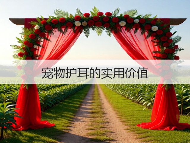 宠物护耳的实用价值(图2) 宠物护耳的实用价值(图2)