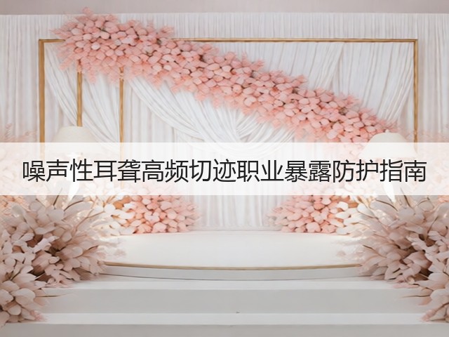 噪声性耳聋高频切迹职业暴露防护指南(图1) 噪声性耳聋高频切迹职业暴露防护指南(图1)