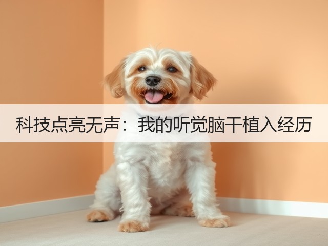 科技点亮无声:我的听觉脑干植入经历(图3) 科技点亮无声:我的听觉脑干植入经历(图3)