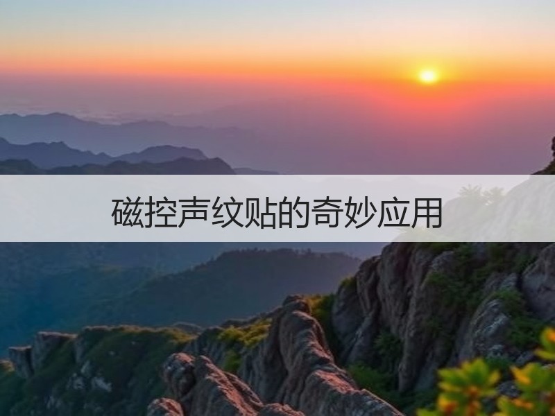 磁控声纹贴的奇妙应用