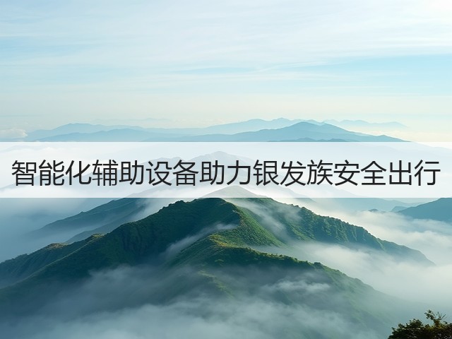 智能化辅助设备助力银发族安全出行(图1) 智能化辅助设备助力银发族安全出行(图1)