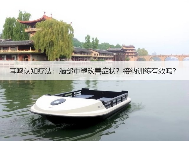 耳鸣认知疗法：脑部重塑改善症状？接纳训练有效吗？(图1)