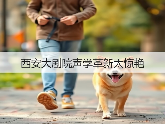 西安大剧院声学革新太惊艳(图2) 西安大剧院声学革新太惊艳(图2)