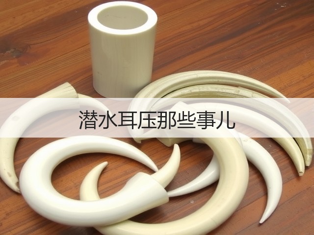 潜水耳压那些事儿(图1) 潜水耳压那些事儿(图1)