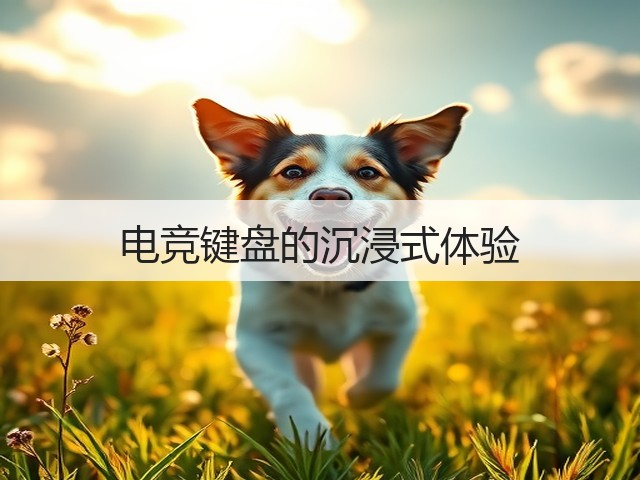 电竞键盘的沉浸式体验(图3)