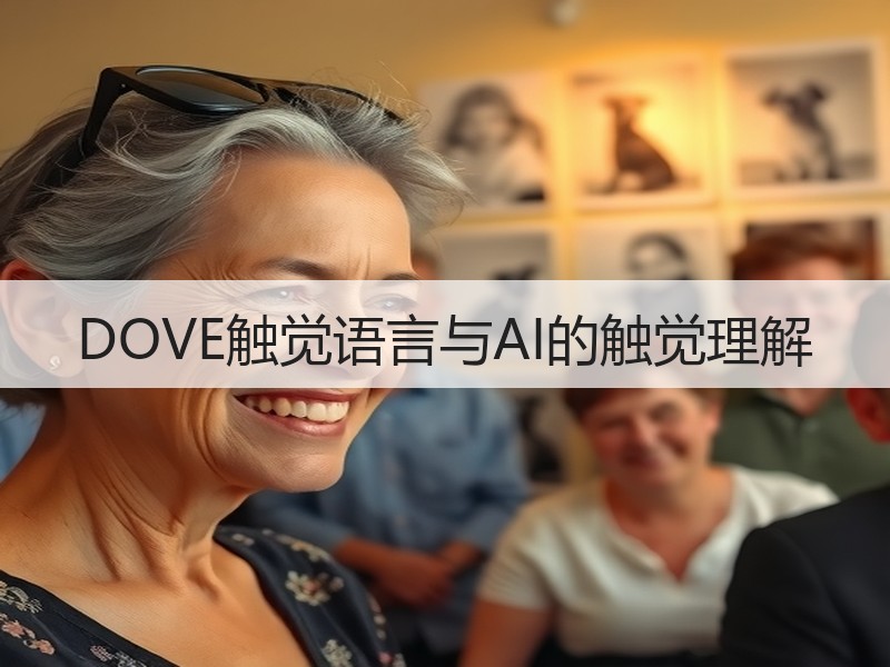 DOVE触觉语言与AI的触觉理解