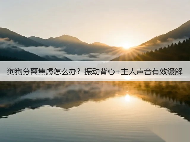 狗狗分离焦虑怎么办?振动背心+主人声音有效缓解(图1) 狗狗分离焦虑怎么办?振动背心+主人声音有效缓解(图1)