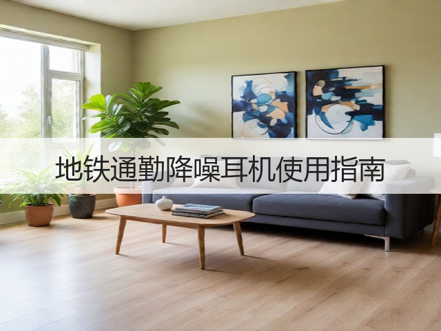 地铁通勤降噪耳机使用指南(图1) 地铁通勤降噪耳机使用指南(图1)