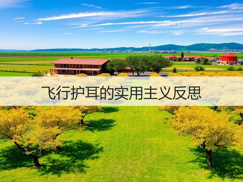 飞行护耳的实用主义反思