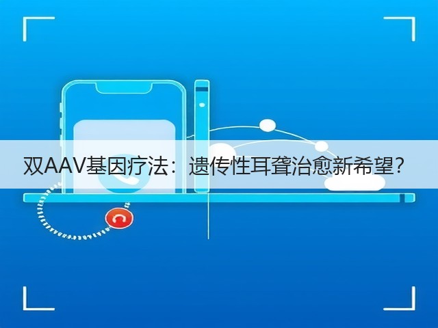 双AAV基因疗法:遗传性耳聋治愈新希望?(图3) 双AAV基因疗法:遗传性耳聋治愈新希望?(图3)