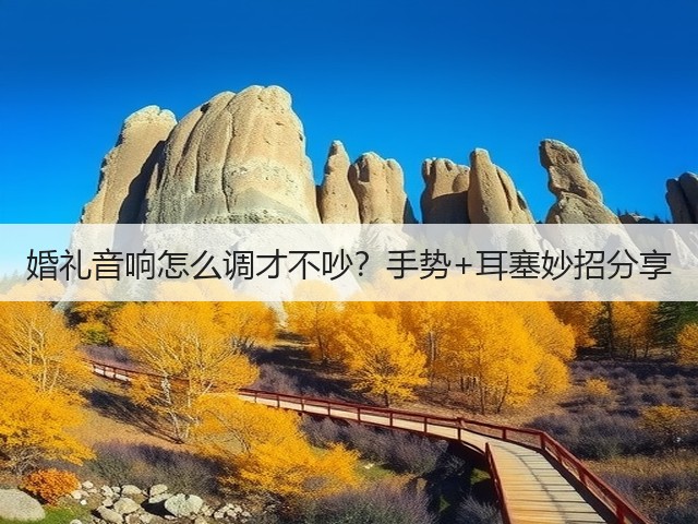 婚礼音响怎么调才不吵？手势+耳塞妙招分享(图3)