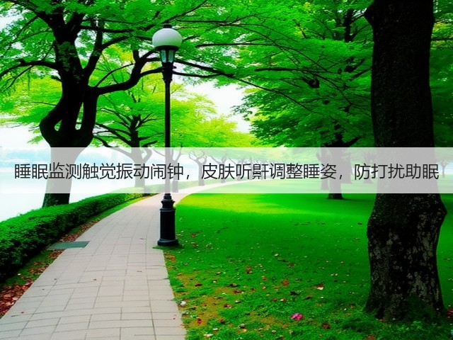 睡眠监测触觉振动闹钟,皮肤听鼾调整睡姿,防打扰助眠(图3) 睡眠监测触觉振动闹钟,皮肤听鼾调整睡姿,防打扰助眠(图3)