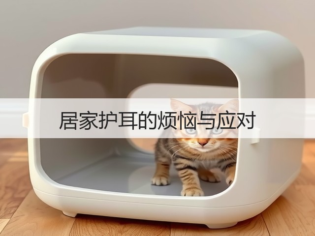 居家护耳的烦恼与应对(图1)