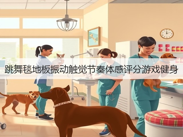跳舞毯地板振动触觉节奏体感评分游戏健身(图3) 跳舞毯地板振动触觉节奏体感评分游戏健身(图3)