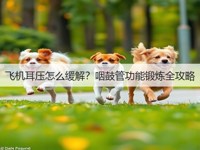 飞机耳压怎么缓解?咽鼓管功能锻炼全攻略(图3) 飞机耳压怎么缓解?咽鼓管功能锻炼全攻略(图3)