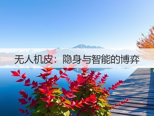 无人机皮:隐身与智能的博弈(图2) 无人机皮:隐身与智能的博弈(图2)