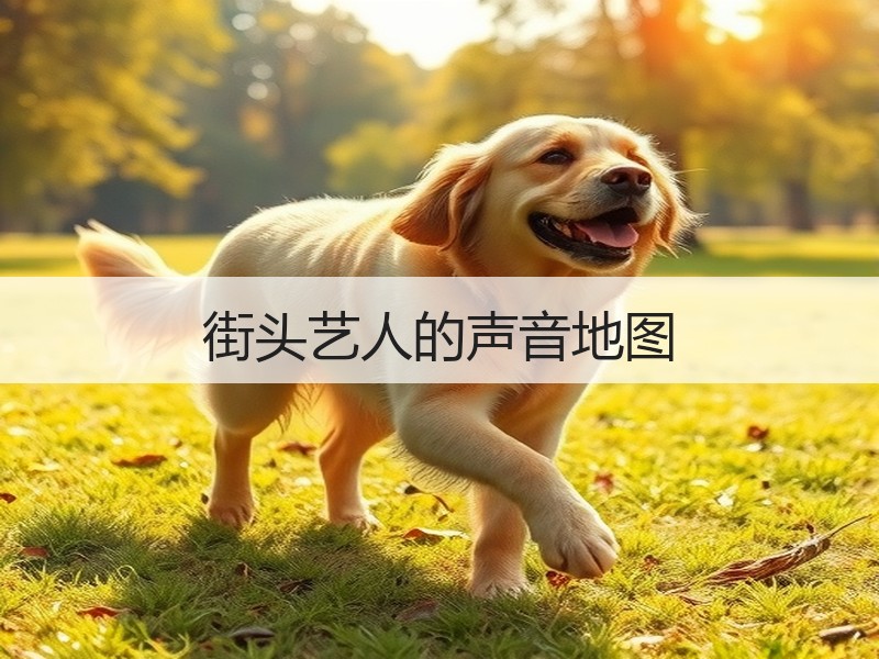 街头艺人的声音地图