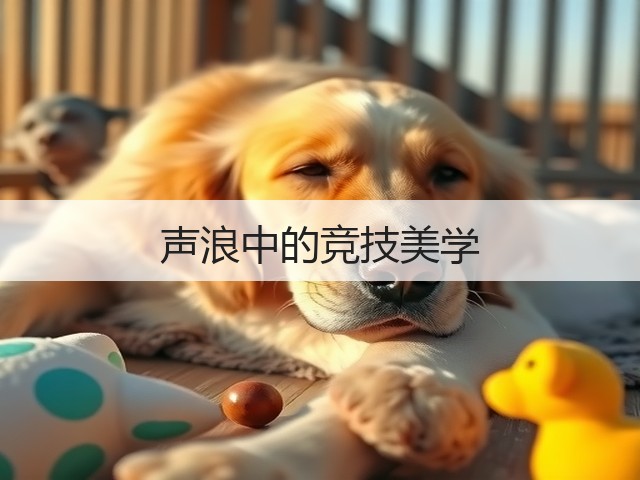 声浪中的竞技美学(图3)