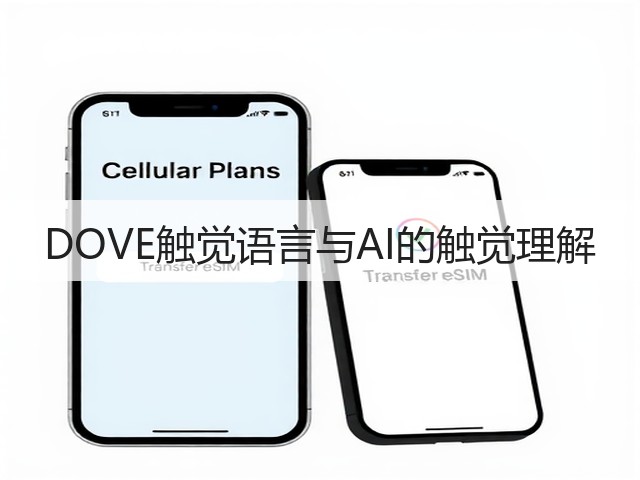 DOVE触觉语言与AI的触觉理解(图1)