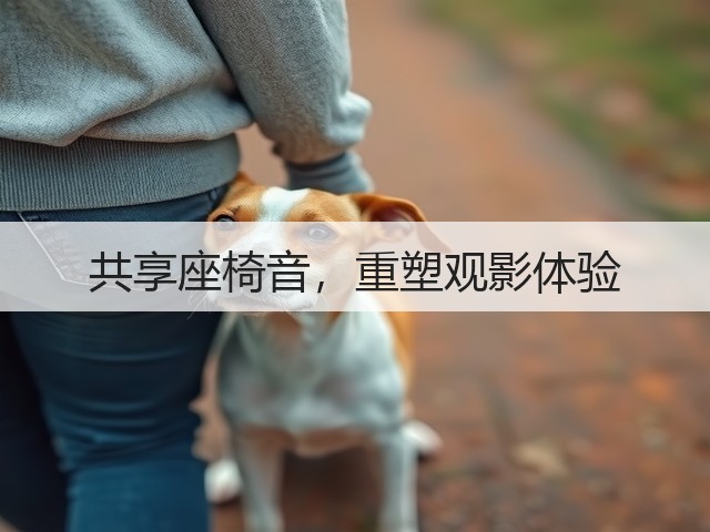 共享座椅音,重塑观影体验(图1) 共享座椅音,重塑观影体验(图1)