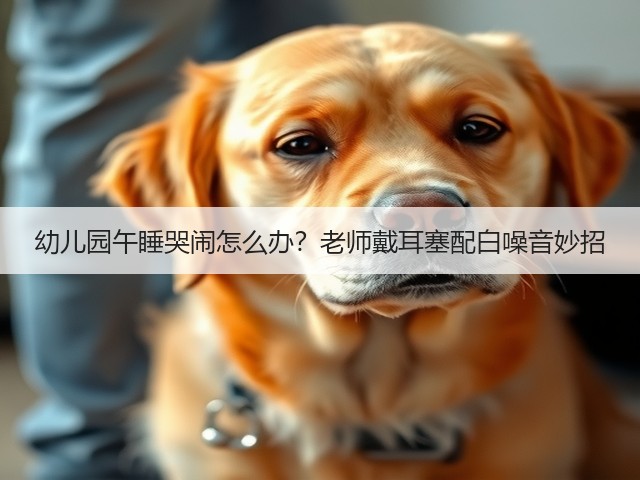 幼儿园午睡哭闹怎么办?老师戴耳塞配白噪音妙招(图3) 幼儿园午睡哭闹怎么办?老师戴耳塞配白噪音妙招(图3)