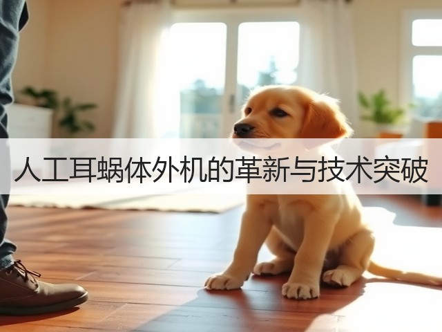 人工耳蜗体外机的革新与技术突破(图3) 人工耳蜗体外机的革新与技术突破(图3)