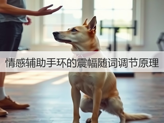 情感辅助手环的震幅随词调节原理(图2) 情感辅助手环的震幅随词调节原理(图2)