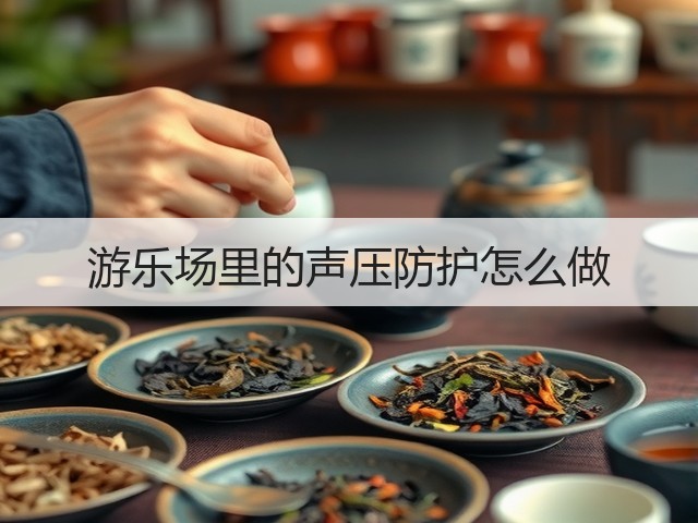 游乐场里的声压防护怎么做(图3)