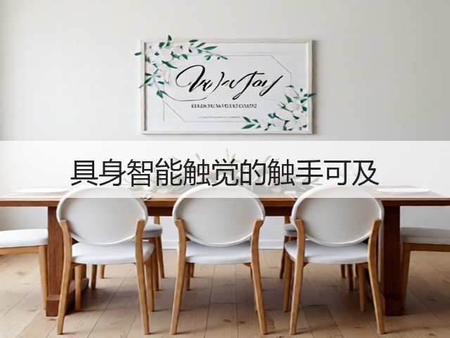 具身智能触觉的触手可及(图3) 具身智能触觉的触手可及(图3)