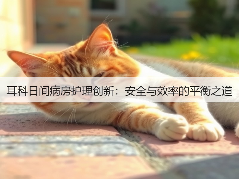 耳科日间病房护理创新：安全与效率的平衡之道