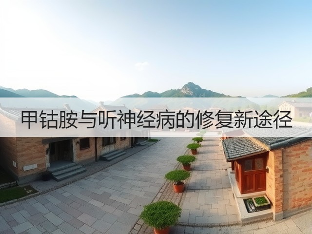 甲钴胺与听神经病的修复新途径(图3)
