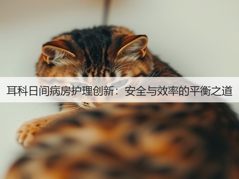 耳科日间病房护理创新：安全与效率的平衡之道