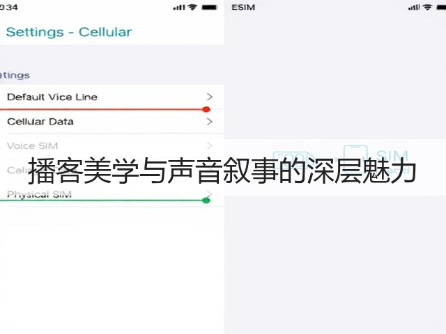 播客美学与声音叙事的深层魅力(图3) 播客美学与声音叙事的深层魅力(图3)