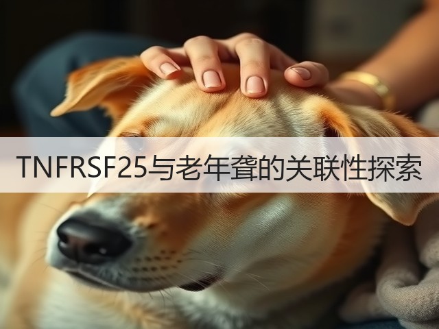 TNFRSF25与老年聋的关联性探索(图2) TNFRSF25与老年聋的关联性探索(图2)