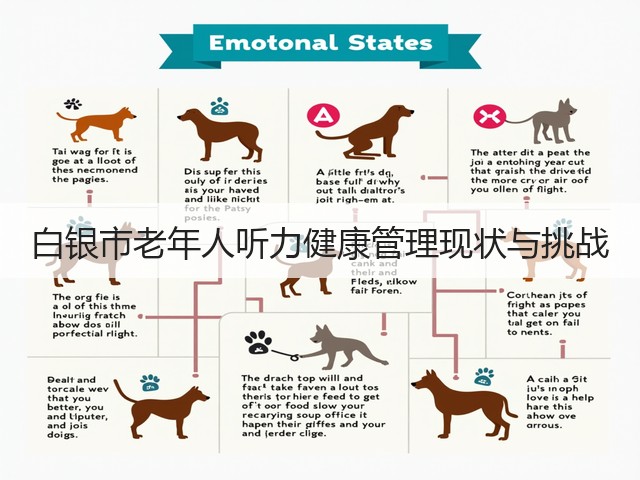 白银市老年人听力健康管理现状与挑战(图3)