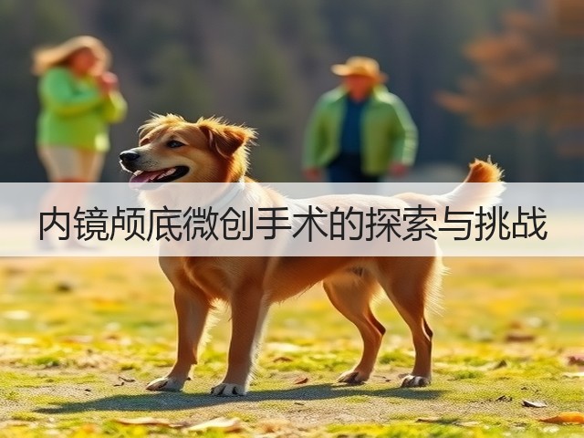 内镜颅底微创手术的探索与挑战(图1) 内镜颅底微创手术的探索与挑战(图1)